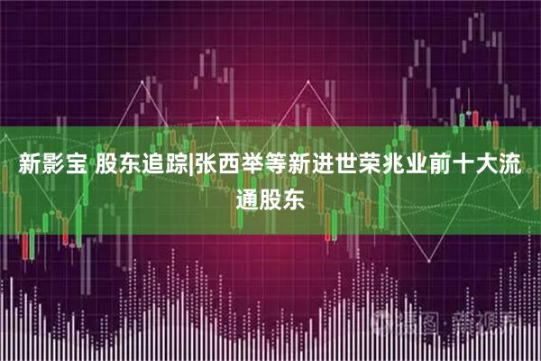 新影宝 股东追踪|张西举等新进世荣兆业前十大流通股东