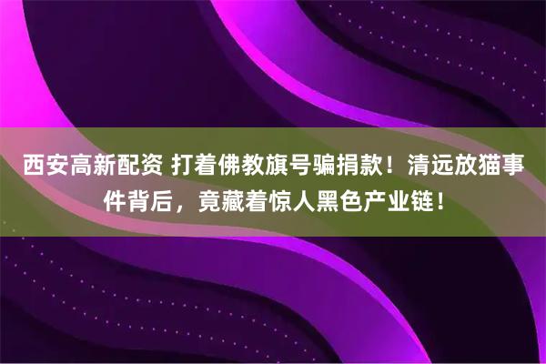 西安高新配资 打着佛教旗号骗捐款！清远放猫事件背后，竟藏着惊人黑色产业链！