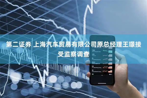 第二证券 上海汽车贸易有限公司原总经理王璟接受监察调查